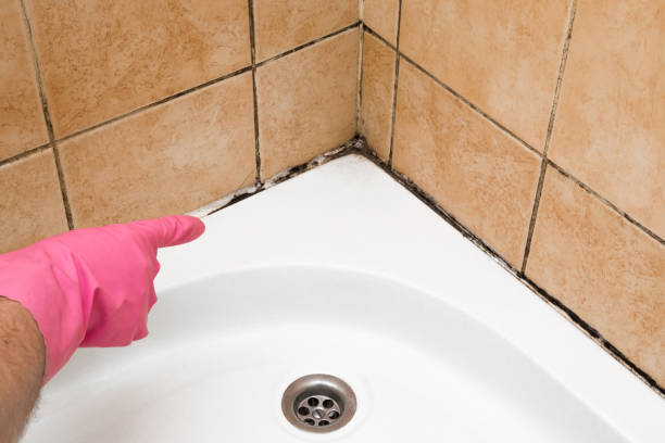 Best Mold Testing  in Mchenry, IL